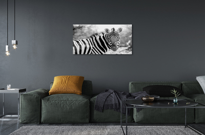 Foto på akryl Retro zebra