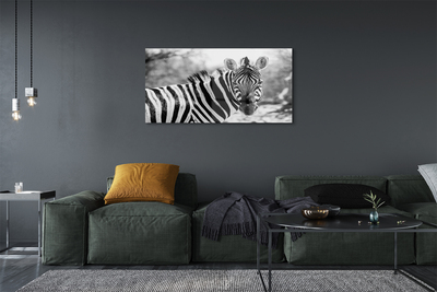 Foto på akryl Retro zebra