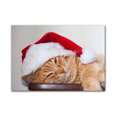 Akrylglas billed Cat Santa Claus Cap Christmas