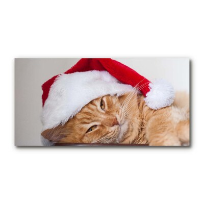 Akrylglas billed Cat Santa Claus Cap Christmas