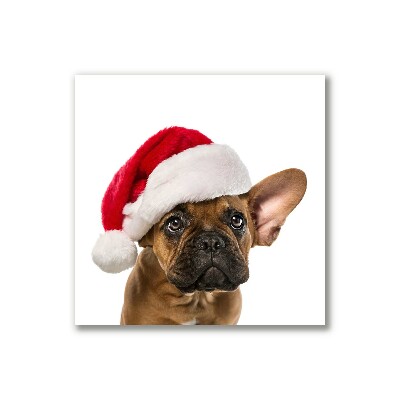 Foto på lærred Bulldog hund jul