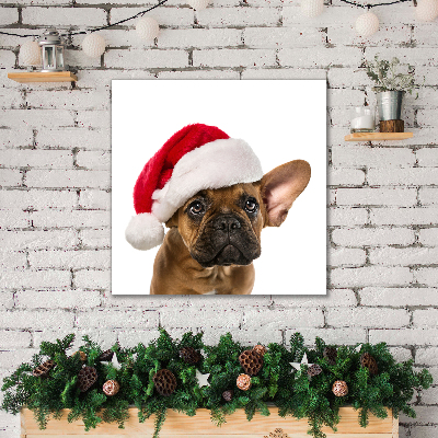 Foto på lærred Bulldog hund jul