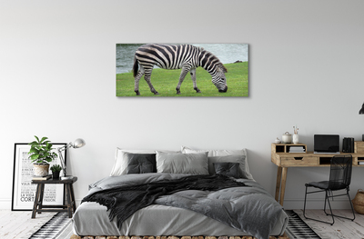 Lærred foto Zebra