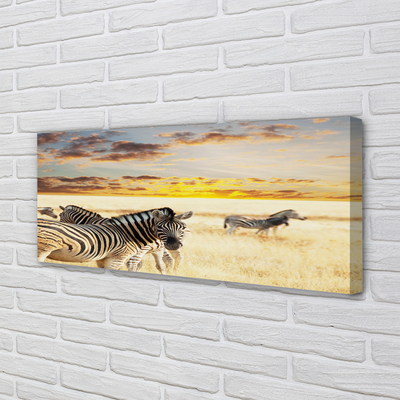 Lærred billede Zebrafelt solnedgang