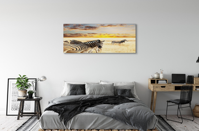 Lærred billede Zebrafelt solnedgang