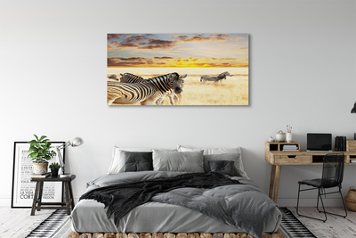 Lærred billede Zebrafelt solnedgang