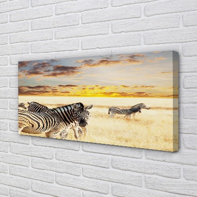 Lærred billede Zebrafelt solnedgang