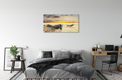 Lærred billede Zebrafelt solnedgang