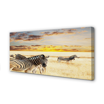 Lærred billede Zebrafelt solnedgang