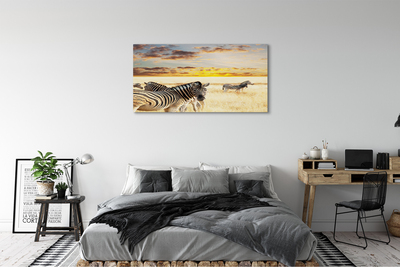 Lærred billede Zebrafelt solnedgang