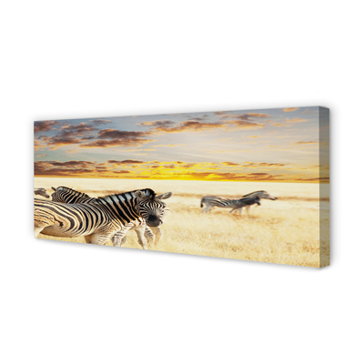 Lærred billede Zebrafelt solnedgang