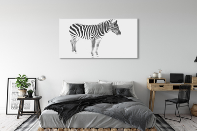 Foto på lærred Malet zebra