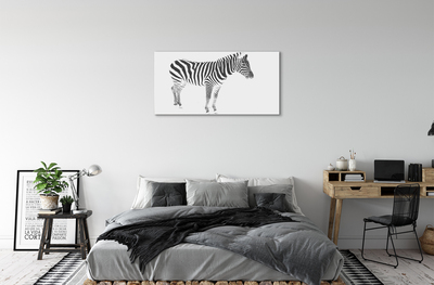 Foto på lærred Malet zebra