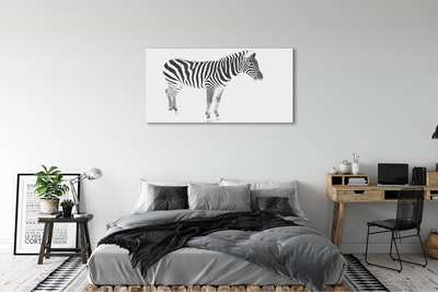 Foto på lærred Malet zebra