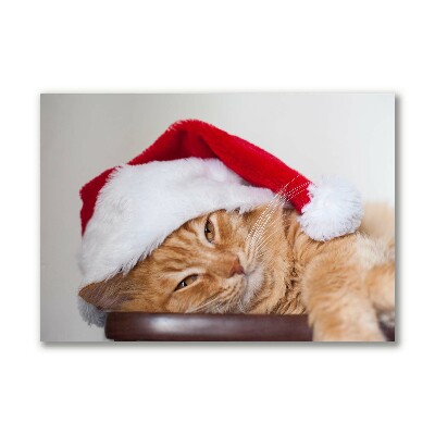 Lærredsbillede Cat Santa Claus Cap Christmas