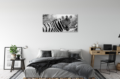 Foto på lærred Retro zebra