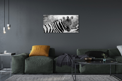 Foto på lærred Retro zebra