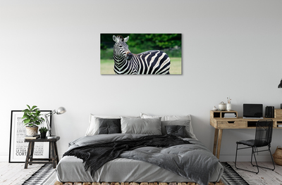 Foto til lærred Zebra field