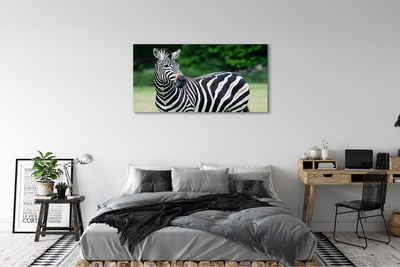 Foto til lærred Zebra field