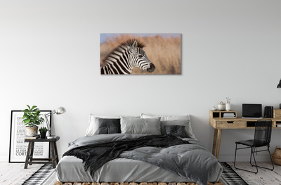 Billede lærred Zebra