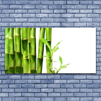 Billede på lærred Bamboo Plant