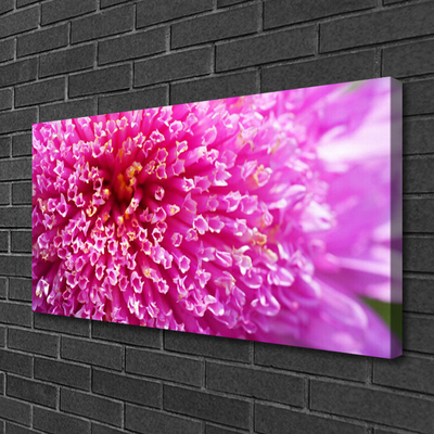 Billede til lærred Wall Flower