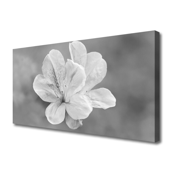 Lærredsbillede Blomster Plante