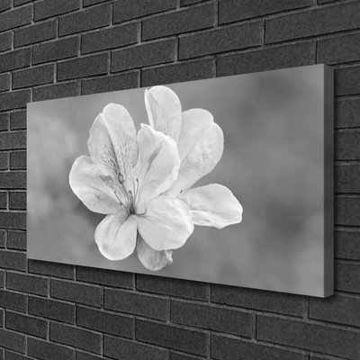 Lærredsbillede Blomster Plante