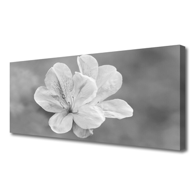 Lærredsbillede Blomster Plante