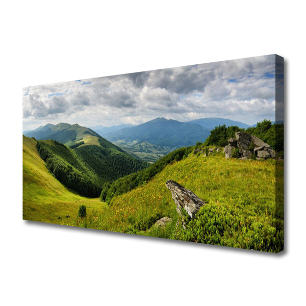 Billede på lærred Mountain Meadow Landscape