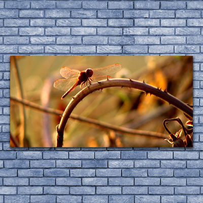 Billede til lærred Dragonfly Nature Plant