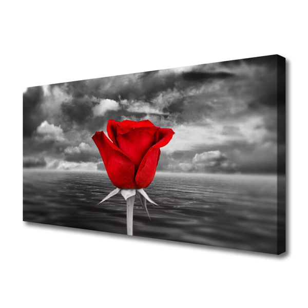 Billede på lærred Rose Flower Plant Sea
