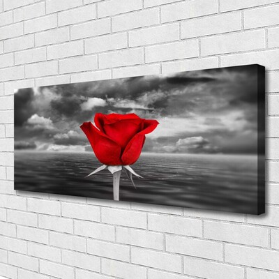 Billede på lærred Rose Flower Plant Sea