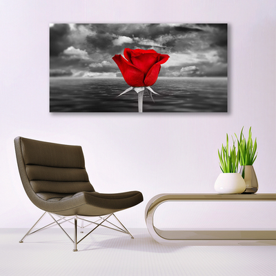 Billede på lærred Rose Flower Plant Sea