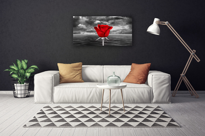 Billede på lærred Rose Flower Plant Sea