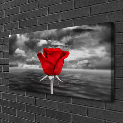 Billede på lærred Rose Flower Plant Sea