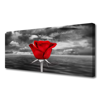 Billede på lærred Rose Flower Plant Sea
