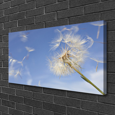 Billede lærred Dandelion Plant