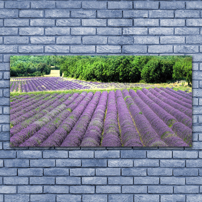 Billede til lærred Eng Blomster Natur Plante