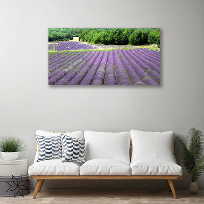 Billede til lærred Eng Blomster Natur Plante