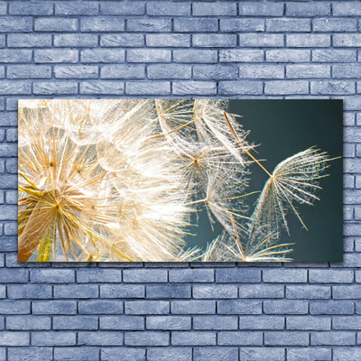 Foto til lærred Dandelion Plant