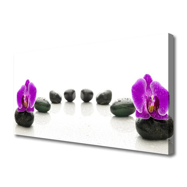 Lærred foto Flower Orchids Pebbles