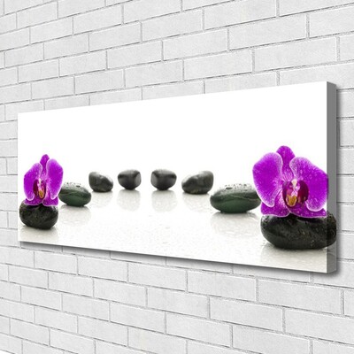 Lærred foto Flower Orchids Pebbles