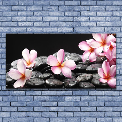 Billede lærred Flower Wall Plumeria