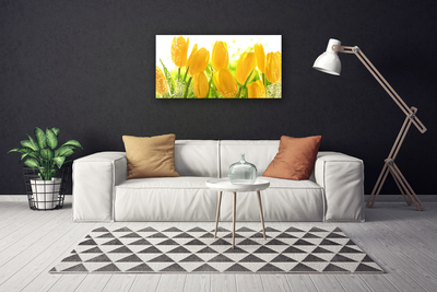 Foto på lærred Tulipaner Blomster Plante