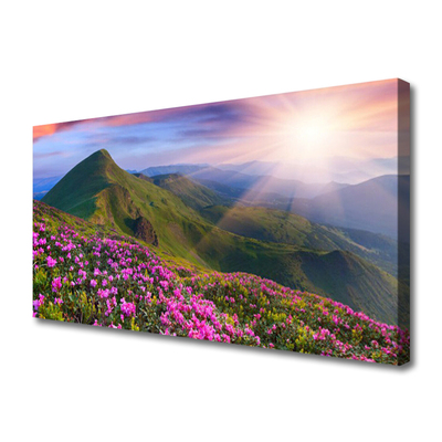 Foto til lærred Mountain Meadow Flowers Landscape