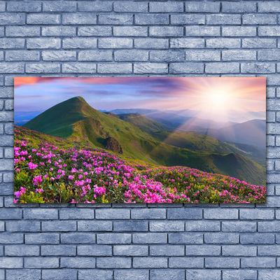 Foto til lærred Mountain Meadow Flowers Landscape