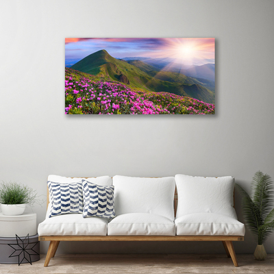 Foto til lærred Mountain Meadow Flowers Landscape