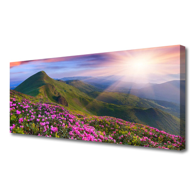 Foto til lærred Mountain Meadow Flowers Landscape