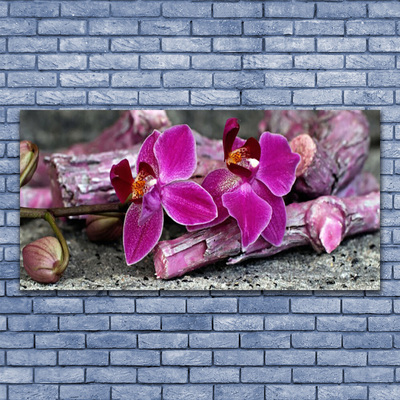 Billede på lærred Træ Blomst Plante Natur